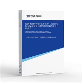 2025-2030年中国电热锅炉（电锅炉）行业发展前景预测与投资战略规划分析报告
